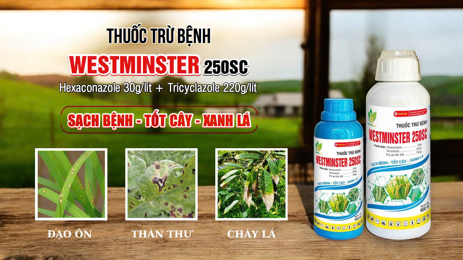 Thuốc trừ bệnh Westminster 250SC